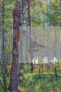 信用卡四千逾期(信用卡四千逾期四個月多少錢)