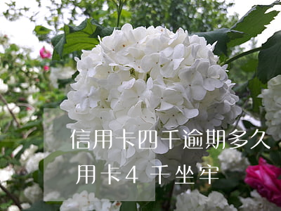 信用卡四千逾期多久會(huì)坐牢(欠信用卡4千坐牢嗎)