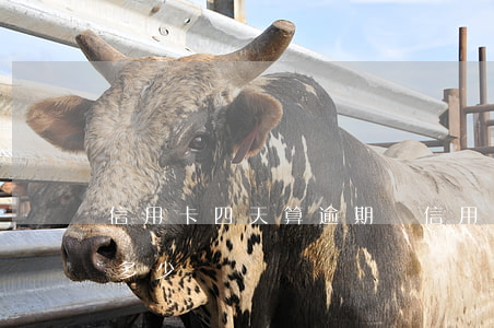 信用卡四天算逾期嗎(信用卡4萬逾期一天罰多少)