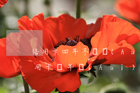 信用卡四年不還會(huì)被起訴嗎(欠信用卡幾年會(huì)被起訴)