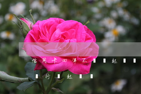 信用卡四年不還會起訴嗎(信用卡兩年沒還了,銀行會起訴嗎)