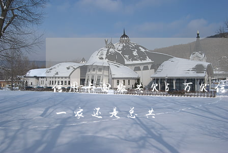 信用卡四张共欠5万(欠信用卡五万以上是指一家还是总共)