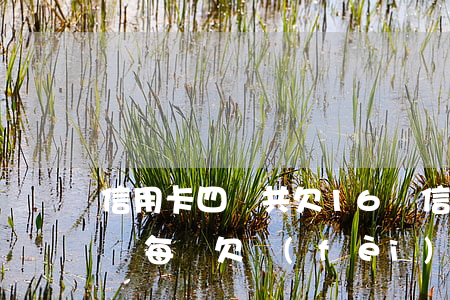 信用卡四張共欠16萬(信用卡四張共欠16萬,每張欠費(fèi)不超過5萬要坐牢嗎)