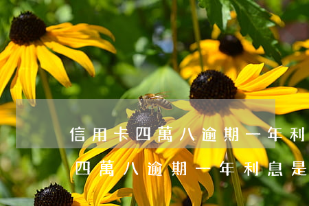 信用卡四萬八逾期一年利息是多少-信用卡四萬八逾期一年利息是多少