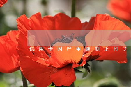 信用卡因严重逾期止付了(信用卡逾期不还)