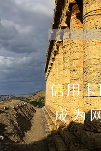 信用卡因为逾期成网逃(欠信用卡跑了会不会成为网逃)