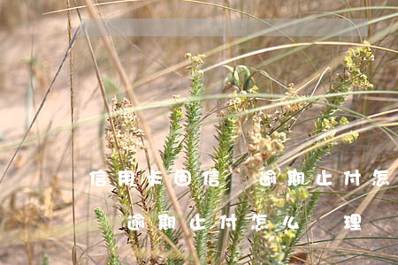 信用卡因信貸逾期止付怎么辦-信用卡因信貸逾期止付怎么辦理
