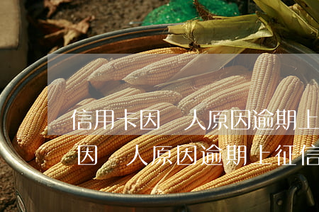 信用卡因個人原因逾期上征信申訴-信用卡因個人原因逾期上征信申訴有用嗎