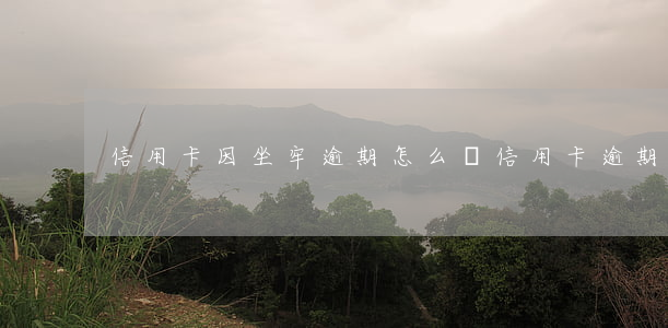 信用卡因坐牢逾期怎么辦(信用卡逾期坐牢了)