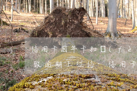 信用卡因年卡扣費(fèi)導(dǎo)致逾期上征信-信用卡因年卡扣費(fèi)導(dǎo)致逾期上征信怎么辦