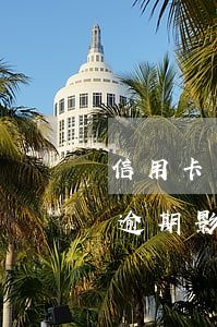 信用卡因年費(fèi)產(chǎn)生逾期影響征信 信用卡因年費(fèi)產(chǎn)生逾期影響征信