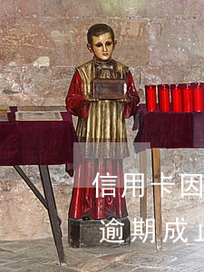 信用卡因年費(fèi)產(chǎn)生逾期成止付狀態(tài)-因信用卡年費(fèi)產(chǎn)生的逾期可以消除嗎