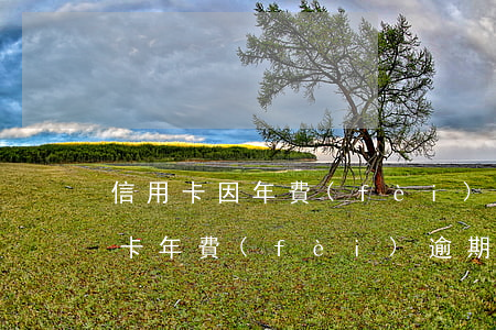 信用卡因年費(fèi)逾期能買房嗎(信用卡年費(fèi)逾期能貸款買房)
