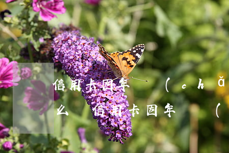 信用卡因年費產(chǎn)生逾期證明怎么寫(信用卡因年費產(chǎn)生逾期證明怎么寫)