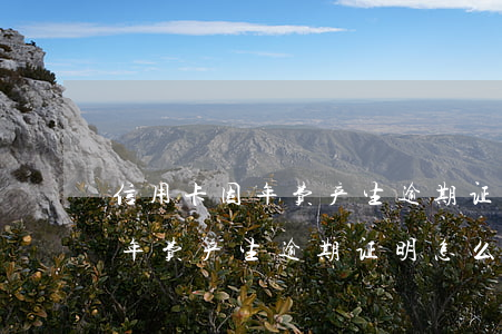 信用卡因年费产生逾期证明怎么写(信用卡因年费产生逾期证明怎么写)
