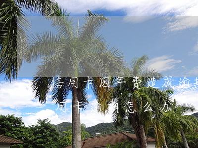 信用卡因年费造成逾期怎么办(2017年信用卡逾期怎么办)