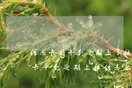 信用卡因年费逾期上了征信怎么办-因信用卡年费逾期上征信怎么消除