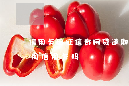 信用卡因征信有网贷逾期停了(网贷逾期会停用信用卡吗)