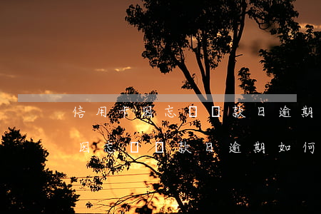 信用卡因忘記還款日逾期如何處理-信用卡因忘記還款日逾期如何處理呢