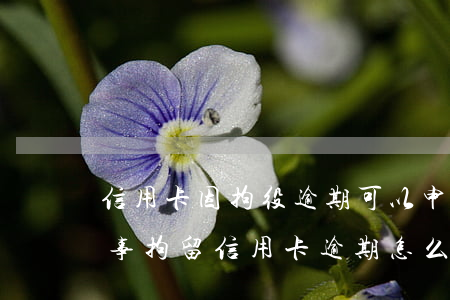 信用卡因拘役逾期可以申請異議嗎(如果因刑事拘留信用卡逾期怎么辦)
