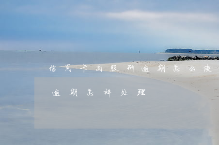 信用卡因服刑逾期怎么谈(服刑人员的信用卡逾期怎样处理)