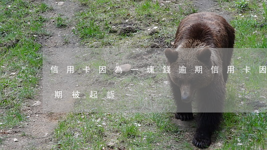 信用卡因為一塊錢逾期(信用卡因為一塊錢逾期被起訴)