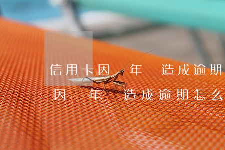 信用卡因為年費造成逾期怎么處理-信用卡因為年費造成逾期怎么處理呢