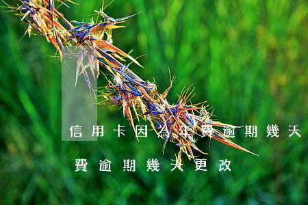 信用卡因為年費逾期幾天更改（信用卡因為年費逾期幾天更改）