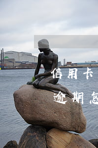 信用卡因為年費逾期怎么辦(信用卡因為年費逾期怎么辦)