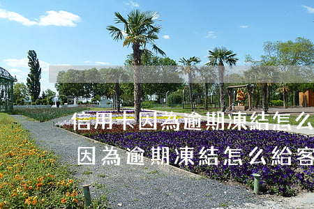 信用卡因為逾期凍結怎么給客服說-信用卡因為逾期凍結怎么給客服說還款