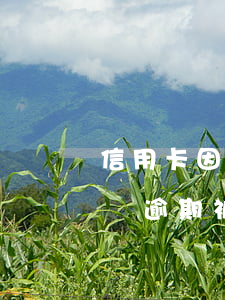 信用卡因為逾期被作廢怎么還款-信用卡因為逾期被作廢怎么還款呢