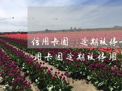 信用卡因為逾期被停卡了怎么恢復使用-信用卡因逾期被停用了還能開通嗎