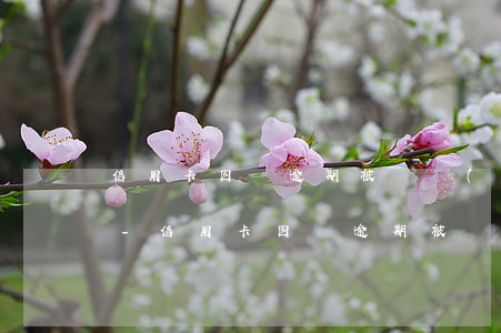信用卡因為逾期被凍結(jié)怎么還款-信用卡因為逾期被凍結(jié)怎么還款呢