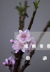 信用卡因為逾期被鎖會有什么影響-信用卡因為逾期被鎖會有什么影響嗎