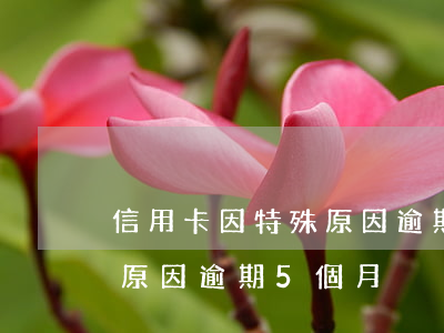 信用卡因特殊原因逾期5個月（信用卡因特殊原因逾期5個月）