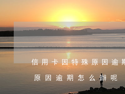 信用卡因特殊原因逾期怎么辦(信用卡因特殊原因逾期怎么辦呢)