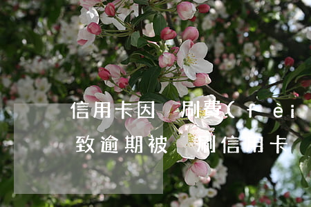 信用卡因盜刷費(fèi)用導(dǎo)致逾期(被盜刷信用卡)