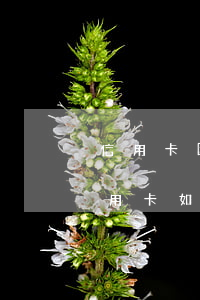 信用卡因逾期不能使用怎么辦 逾期以后的信用卡如何才可以正常使用