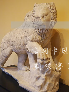 信用卡因逾期?？ㄕk(為什么信用卡沒有逾期被停了?)