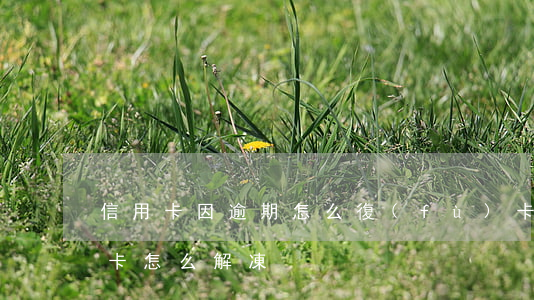 信用卡因逾期怎么復(fù)卡(逾期的信用卡怎么解凍)