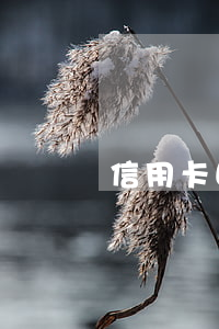 信用卡因逾期異常（信用卡因逾期異常）
