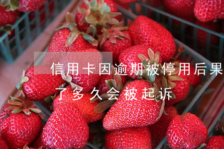 信用卡因逾期被停用后果(信用卡逾期被停用了多久会被起诉)