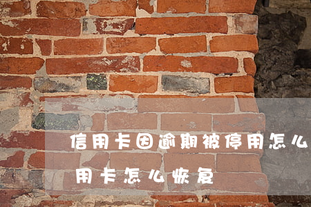 信用卡因逾期被停用怎么恢复(逾期停用的信用卡怎么恢复)