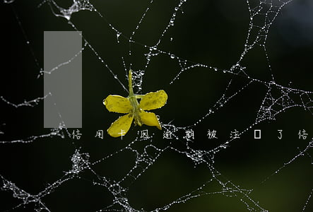 信用卡因逾期被注銷了（信用卡因逾期被注銷）