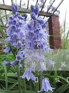 信用卡因降額逾期怎么辦(信用卡逾期被降額還能恢復(fù)嗎)