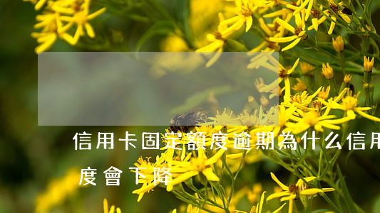 信用卡固定額度逾期(為什么信用卡沒逾期額度會下降)