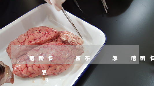 信用卡圓夢金不還會怎樣(信用卡圓夢金不還會怎樣)