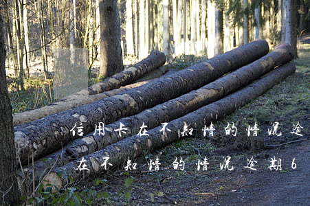 信用卡在不知情的情况逾期60期-信用卡在不知情的情况逾期60期怎么办