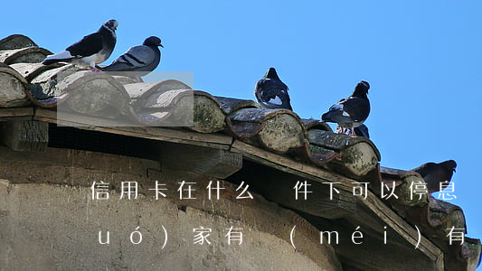 信用卡在什么條件下可以停息掛賬-國(guó)家有沒(méi)有規(guī)定信用卡可以停息掛賬的說(shuō)法