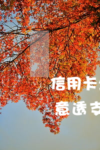 信用卡坐實惡意透支會怎樣(為什么信用卡惡意透支難立案)